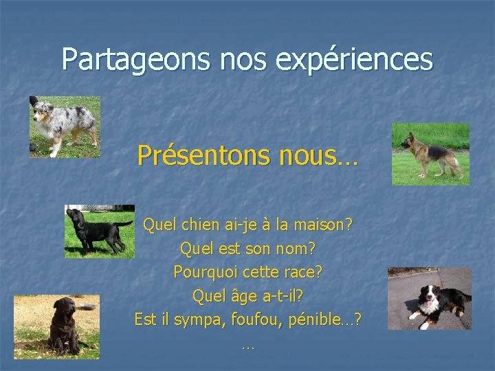 Partageons nos expériences Présentons nous… Quel chien ai-je à la maison? Quel est son