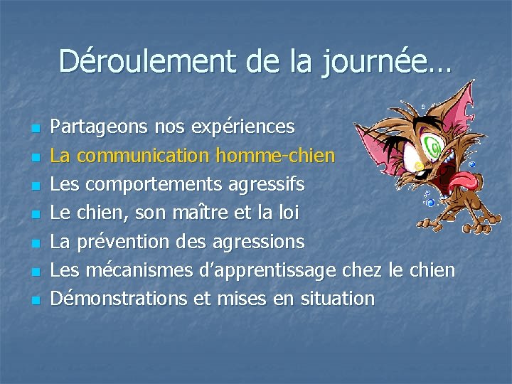 Déroulement de la journée… n n n n Partageons nos expériences La communication homme-chien