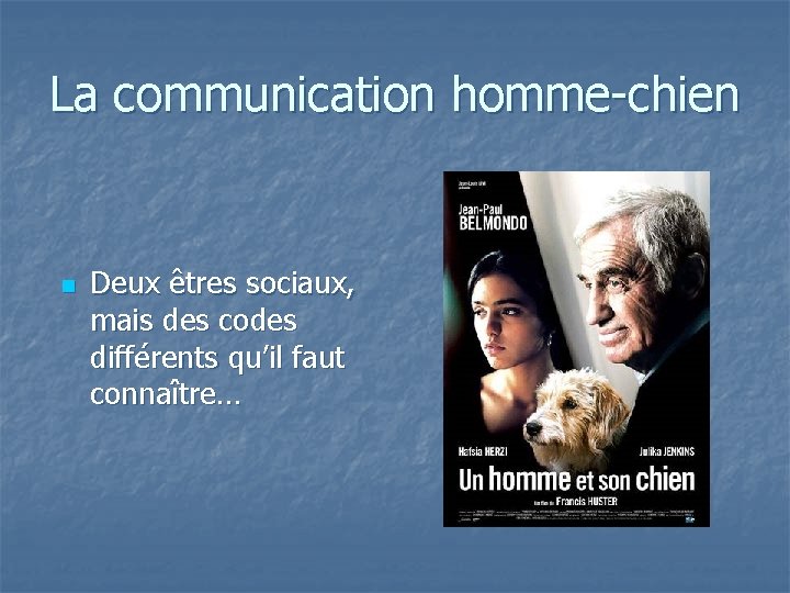 La communication homme-chien n Deux êtres sociaux, mais des codes différents qu’il faut connaître…