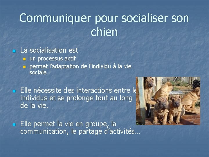 Communiquer pour socialiser son chien n La socialisation est n n un processus actif