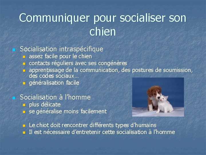 Communiquer pour socialiser son chien n Socialisation intraspécifique n n n assez facile pour