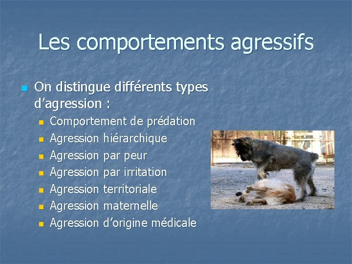 Les comportements agressifs n On distingue différents types d’agression : n n n n