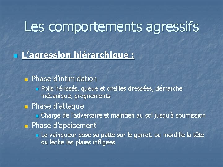 Les comportements agressifs n L’agression hiérarchique : n Phase d’intimidation n n Phase d’attaque