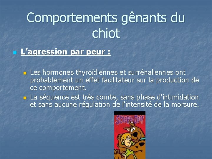 Comportements gênants du chiot n L’agression par peur : n n Les hormones thyroïdiennes