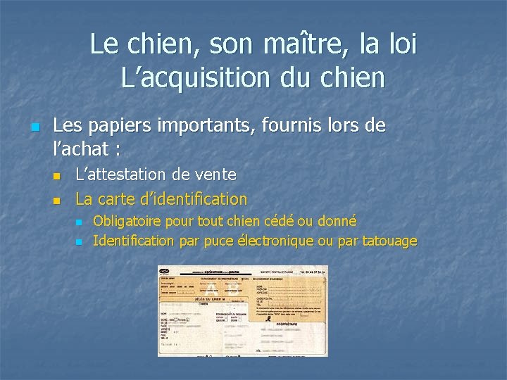 Le chien, son maître, la loi L’acquisition du chien n Les papiers importants, fournis