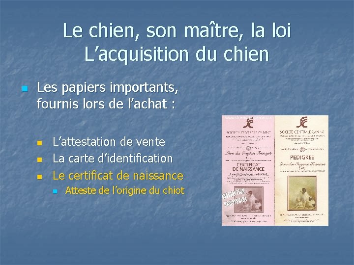 Le chien, son maître, la loi L’acquisition du chien n Les papiers importants, fournis