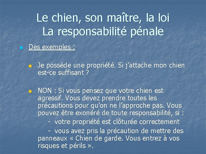 Le chien, son maître, la loi La responsabilité pénale n Des exemples : n