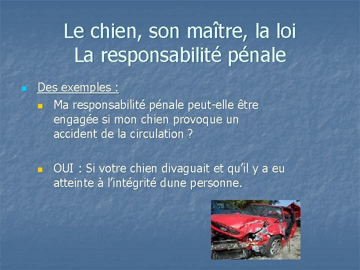 Le chien, son maître, la loi La responsabilité pénale n Des exemples : n