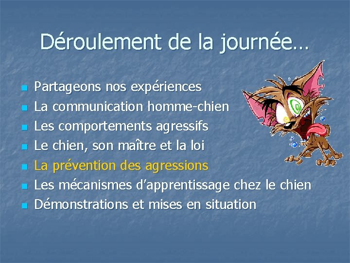 Déroulement de la journée… n n n n Partageons nos expériences La communication homme-chien