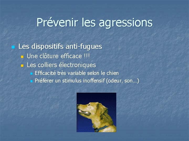 Prévenir les agressions n Les dispositifs anti-fugues n n Une clôture efficace !!! Les