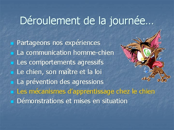 Déroulement de la journée… n n n n Partageons nos expériences La communication homme-chien