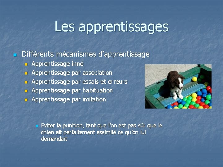 Les apprentissages n Différents mécanismes d’apprentissage n n n Apprentissage inné Apprentissage par association