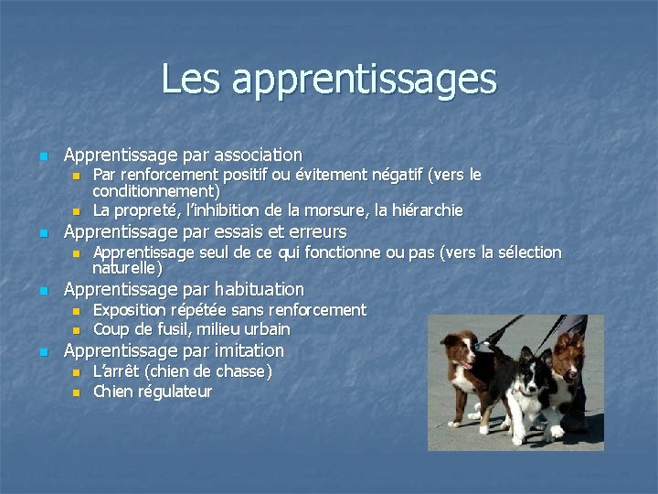 Les apprentissages n Apprentissage par association n Apprentissage par essais et erreurs n n