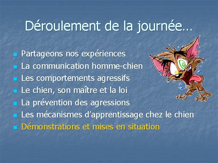 Déroulement de la journée… n n n n Partageons nos expériences La communication homme-chien