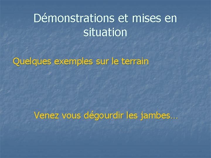 Démonstrations et mises en situation Quelques exemples sur le terrain Venez vous dégourdir les