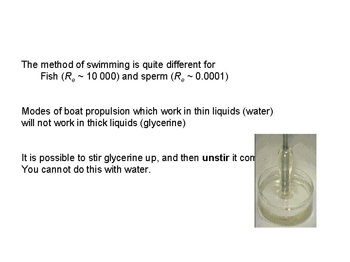The method of swimming is quite different for Fish (Re ~ 10 000) and
