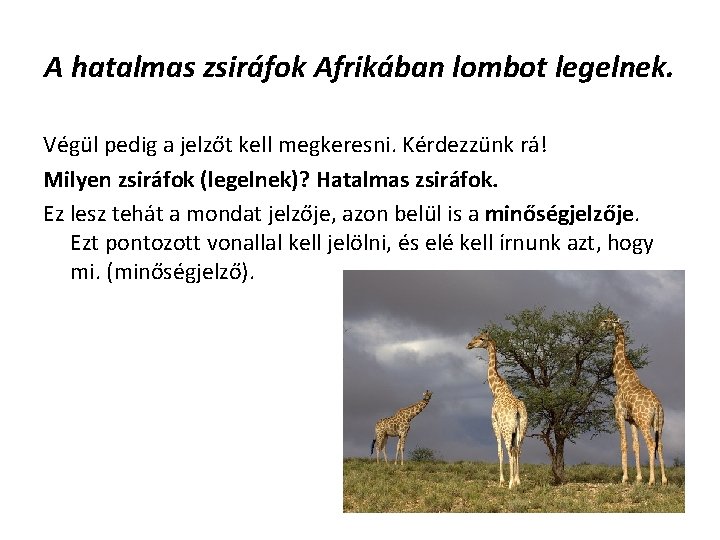 A hatalmas zsiráfok Afrikában lombot legelnek. Végül pedig a jelzőt kell megkeresni. Kérdezzünk rá!