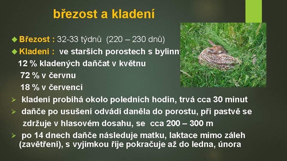 březost a kladení Březost : 32 -33 týdnů (220 – 230 dnů) Kladení :