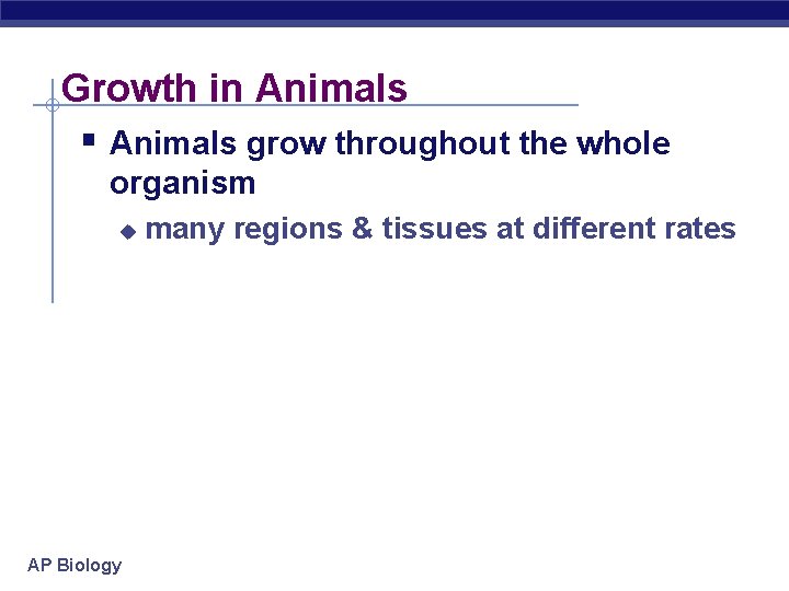 Growth in Animals § Animals grow throughout the whole organism u AP Biology many