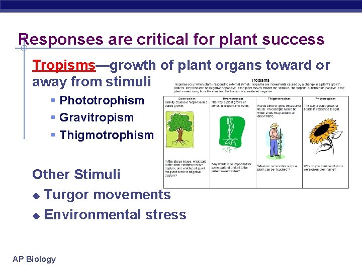 Responses are critical for plant success Tropisms—growth of plant organs toward or away from