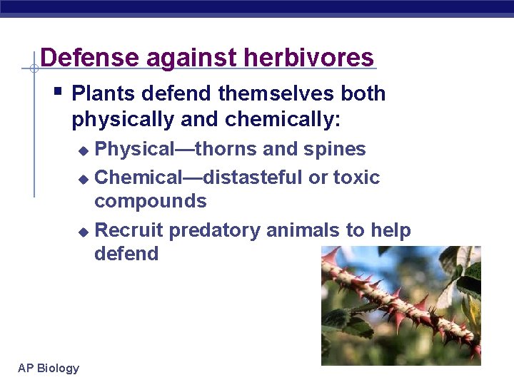 Defense against herbivores § Plants defend themselves both physically and chemically: Physical—thorns and spines