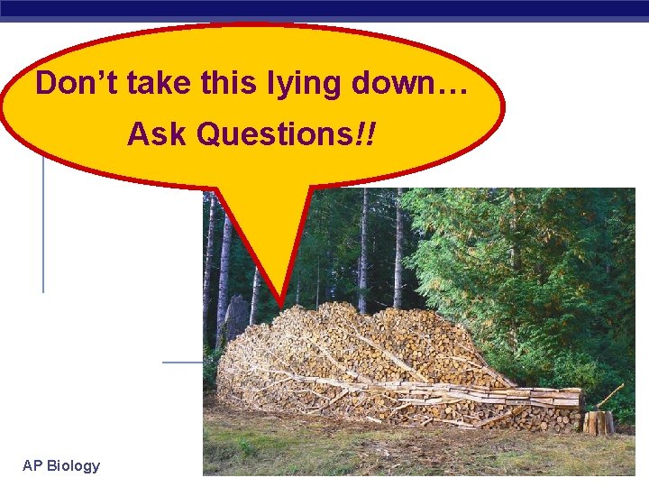 Don’t take this lying down… Ask Questions!! AP Biology 2007 -2008 