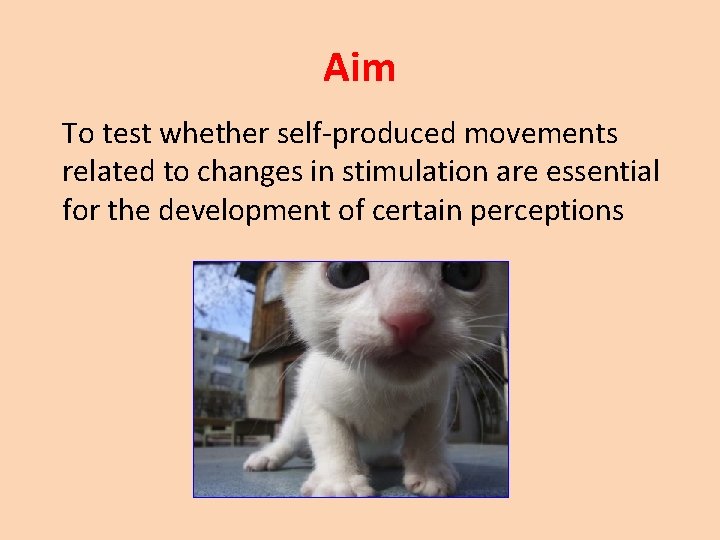 Aim To test whether self-produced movements related to changes in stimulation are essential for