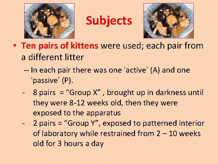 Subjects • Ten pairs of kittens were used; each pair from a different litter