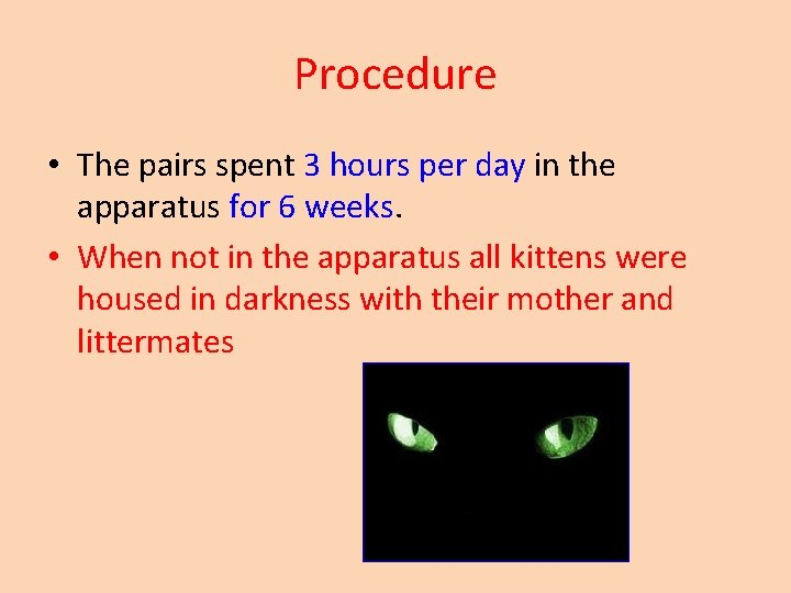 Procedure • The pairs spent 3 hours per day in the apparatus for 6