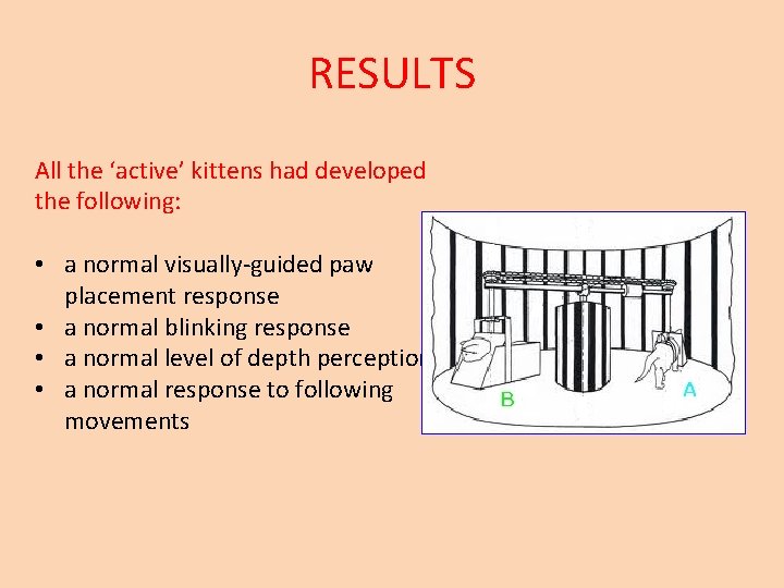 RESULTS All the ‘active’ kittens had developed the following: • a normal visually-guided paw