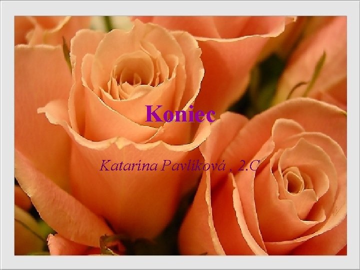 Koniec Katarína Pavlíková , 2. C Koniec Katarína Pavlíková , 2. C