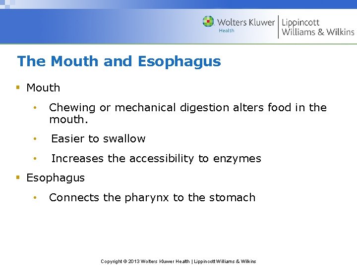 The Mouth and Esophagus § Mouth • Chewing or mechanical digestion alters food in