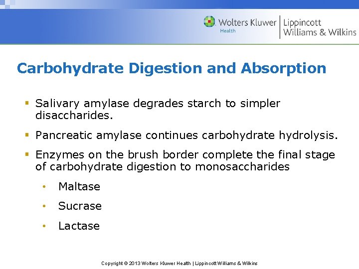 Carbohydrate Digestion and Absorption § Salivary amylase degrades starch to simpler disaccharides. § Pancreatic