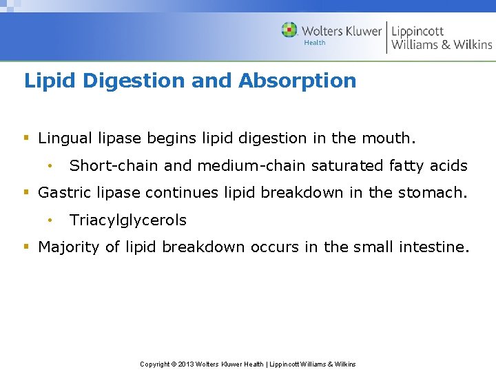 Lipid Digestion and Absorption § Lingual lipase begins lipid digestion in the mouth. •
