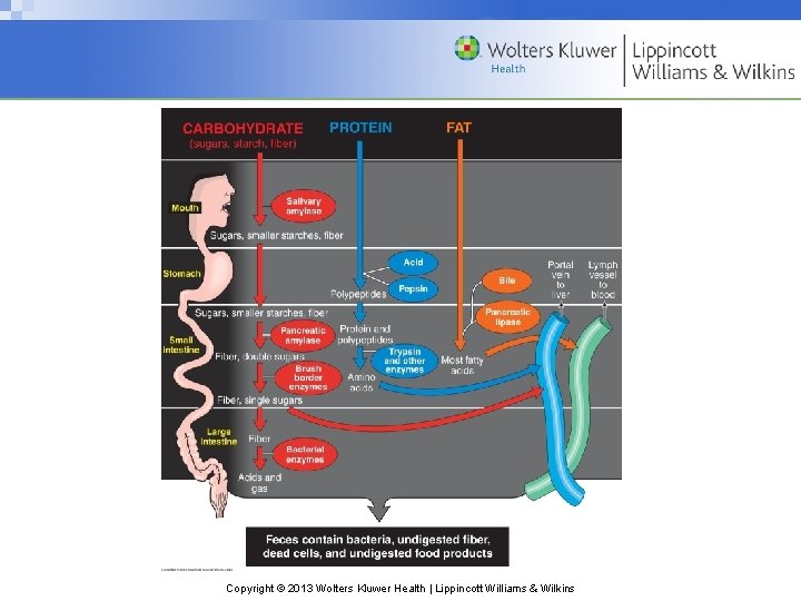 Copyright © 2013 Wolters Kluwer Health | Lippincott Williams & Wilkins 