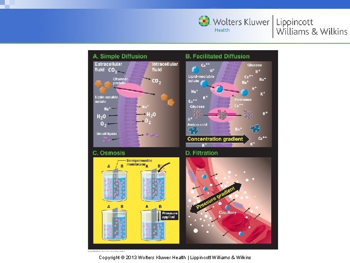 Copyright © 2013 Wolters Kluwer Health | Lippincott Williams & Wilkins 
