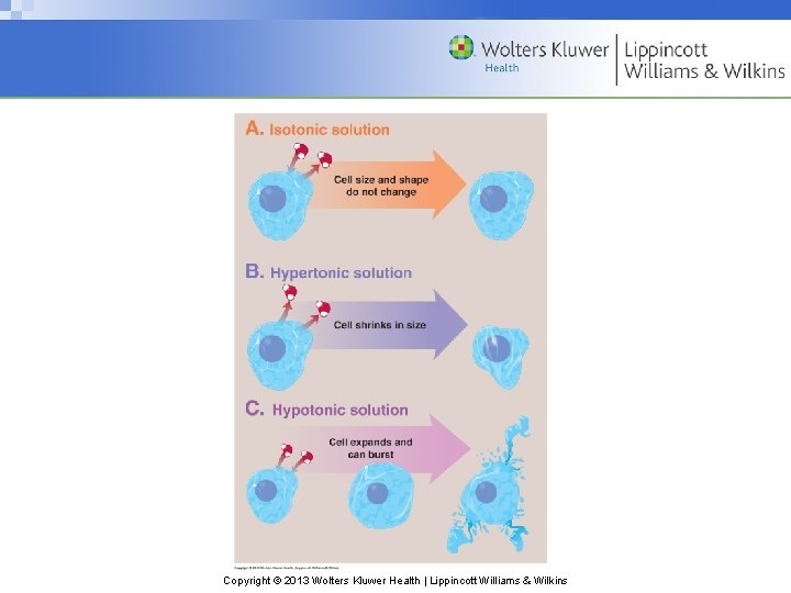 Copyright © 2013 Wolters Kluwer Health | Lippincott Williams & Wilkins 