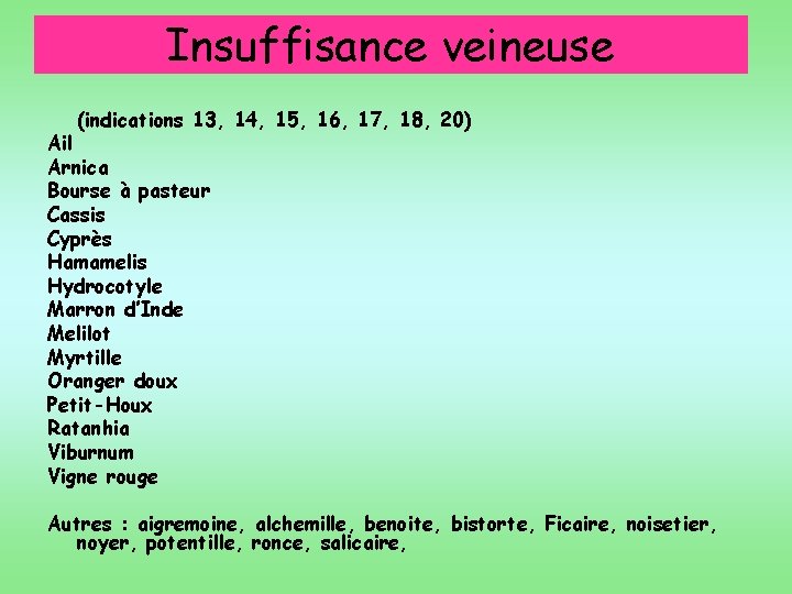 Insuffisance veineuse (indications 13, 14, 15, 16, 17, 18, 20) Ail Arnica Bourse à
