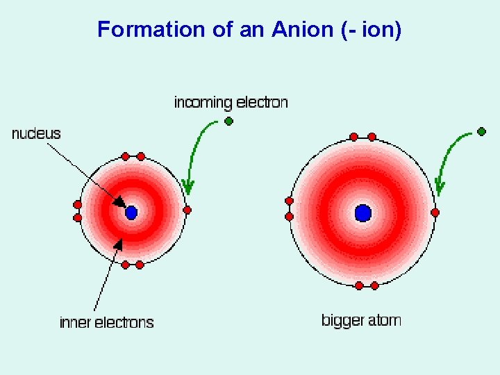 Formation of an Anion (- ion) 