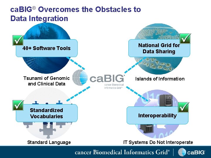 ca. BIG® Overcomes the Obstacles to Data Integration 40+ Software Tools National Grid for