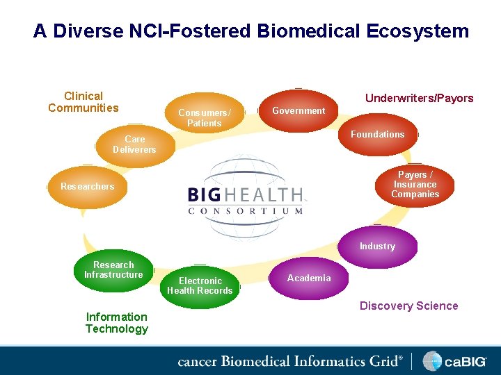 A Diverse NCI-Fostered Biomedical Ecosystem Clinical Communities Underwriters/Payors Consumers/ Patients Government Foundations Care Deliverers