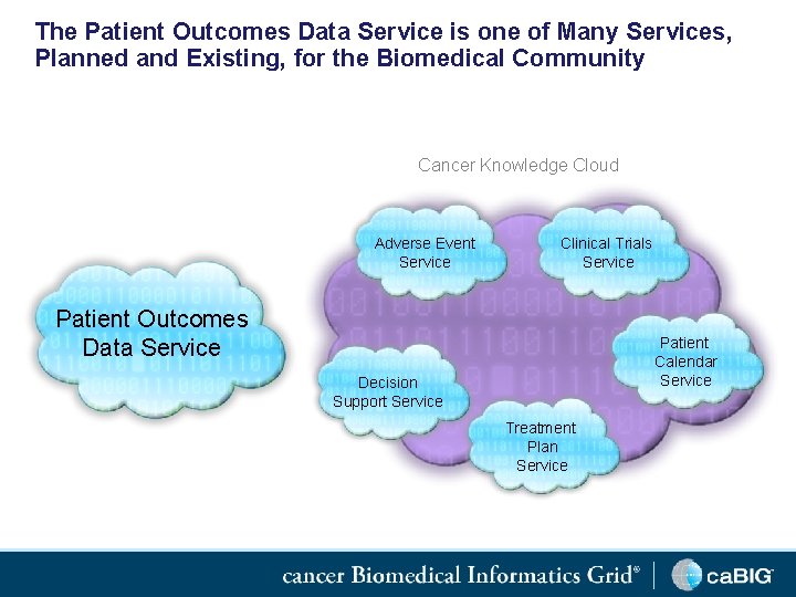 The Patient Outcomes Data Service is one of Many Services, Planned and Existing, for