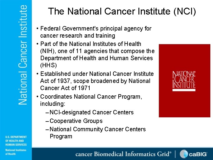 The National Cancer Institute (NCI) • Federal Government's principal agency for cancer research and