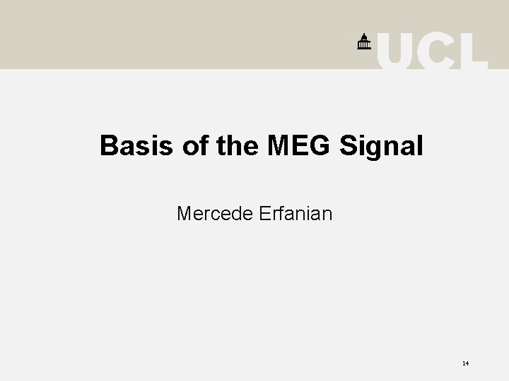 Basis of the MEG Signal Mercede Erfanian 14 