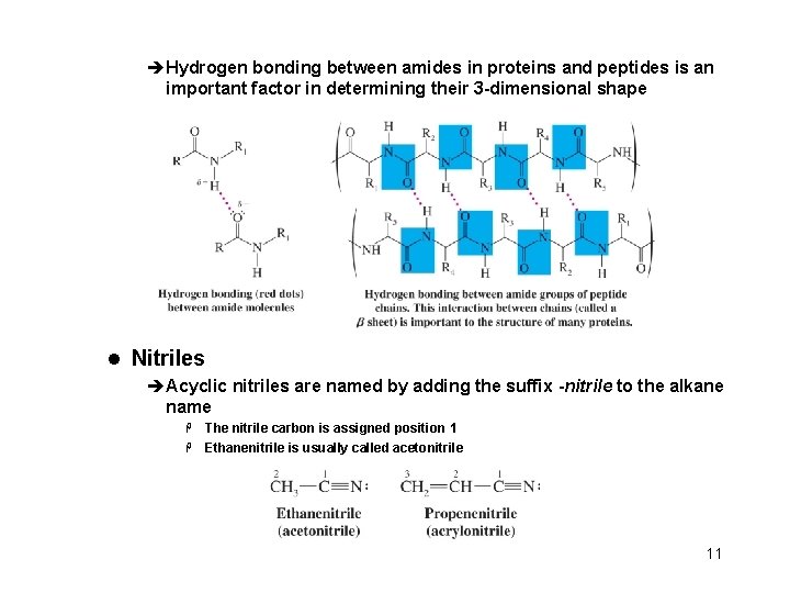 èHydrogen bonding between amides in proteins and peptides is an important factor in determining