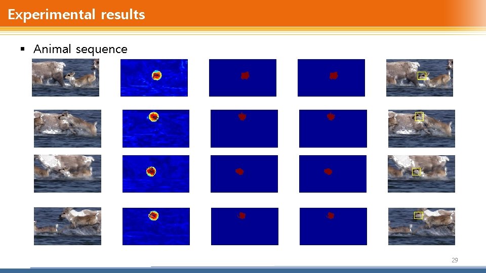 Experimental results § Animal sequence 29 