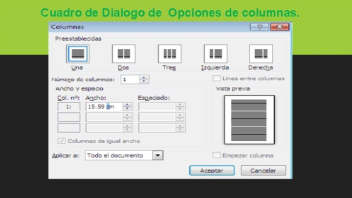 Cuadro de Dialogo de Opciones de columnas. 