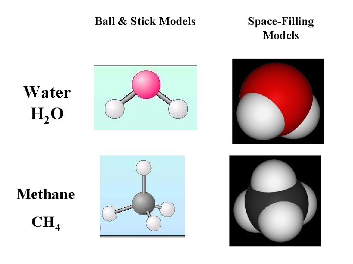 Ball & Stick Models Water H 2 O Methane CH 4 Space-Filling Models Ball & Stick Models Water H 2 O Methane CH 4 Space-Filling Models