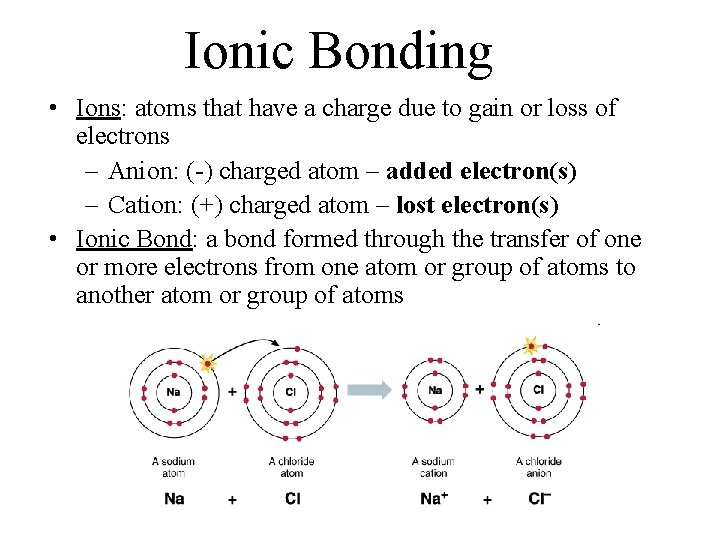 Ionic Bonding • Ions: atoms that have a charge due to gain or loss Ionic Bonding • Ions: atoms that have a charge due to gain or loss