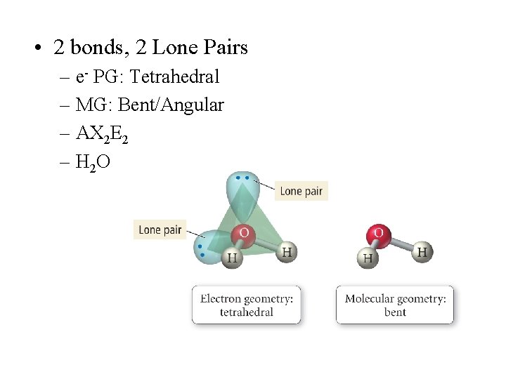 • 2 bonds, 2 Lone Pairs – e- PG: Tetrahedral – MG: Bent/Angular • 2 bonds, 2 Lone Pairs – e- PG: Tetrahedral – MG: Bent/Angular